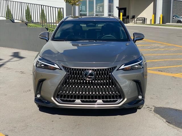 2024 Lexus NX 250 Premium