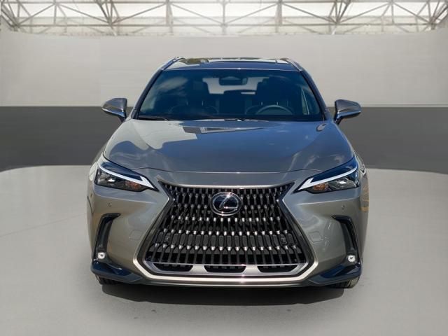 2024 Lexus NX 250 Premium