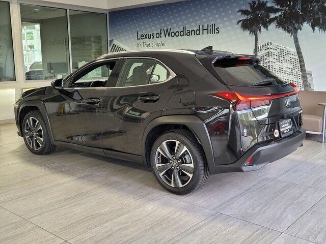 2024 Lexus UX 250h