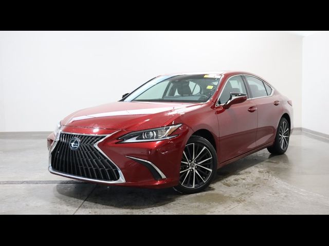 2024 Lexus ES 250