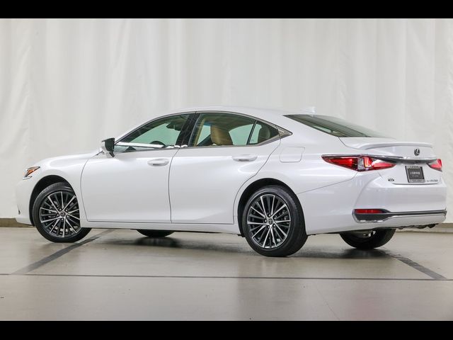 2024 Lexus ES 250