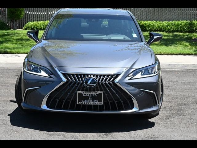 2024 Lexus ES 250