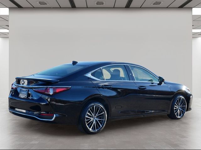 2024 Lexus ES 250