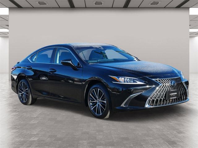 2024 Lexus ES 250