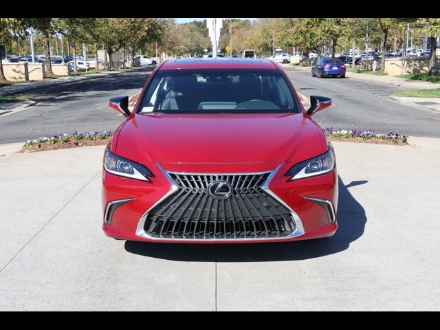 2024 Lexus ES 250