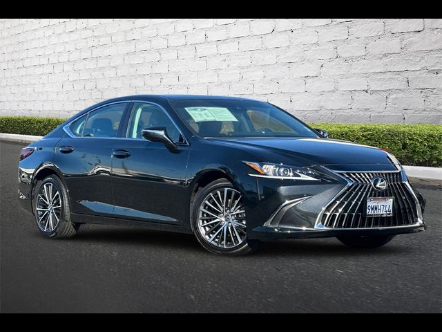 2024 Lexus ES 250