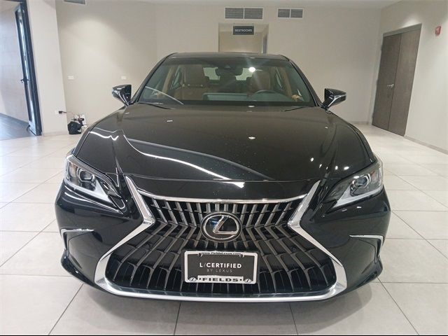 2024 Lexus ES 250