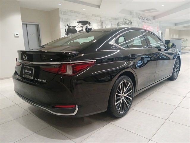 2024 Lexus ES 250