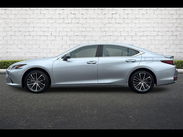 2024 Lexus ES 300h