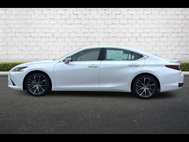 2024 Lexus ES 300h