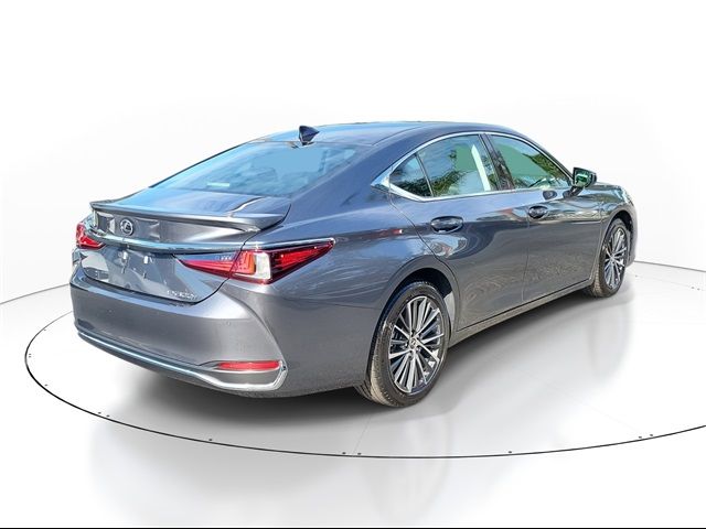 2024 Lexus ES 300h