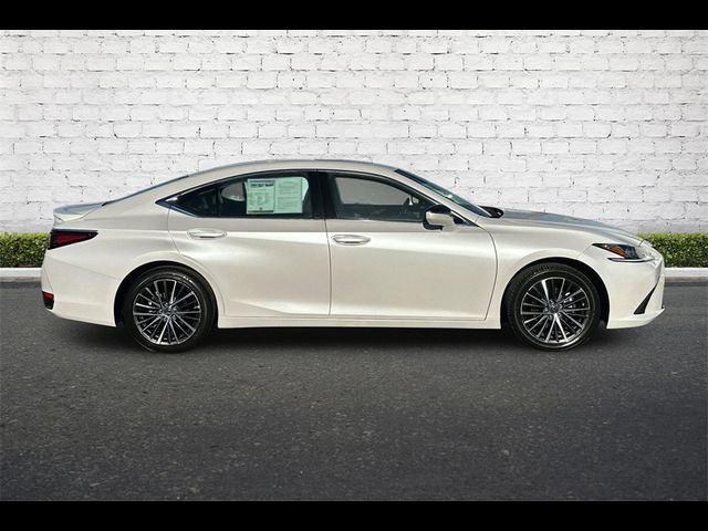 2024 Lexus ES 300h