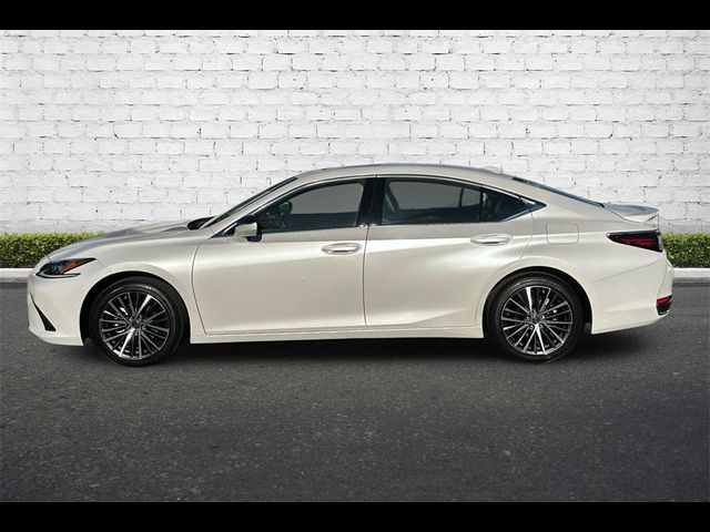 2024 Lexus ES 300h