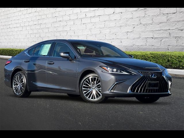 2024 Lexus ES 