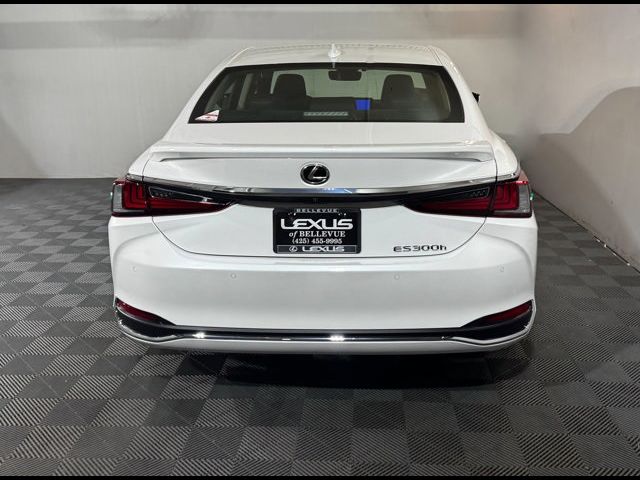 2024 Lexus ES 300h