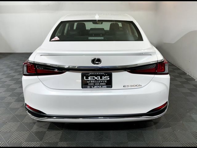 2024 Lexus ES 300h