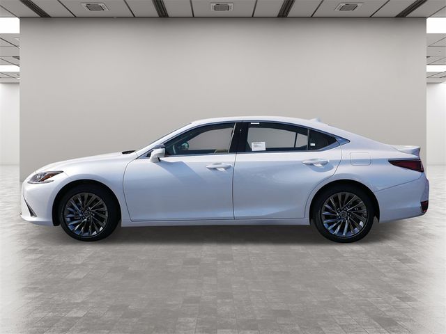 2024 Lexus ES 300h Luxury