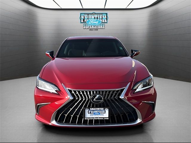 2024 Lexus ES 350