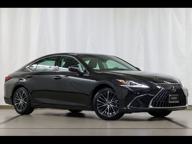 2024 Lexus ES 350