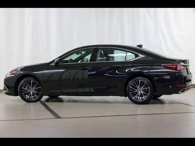 2024 Lexus ES 350