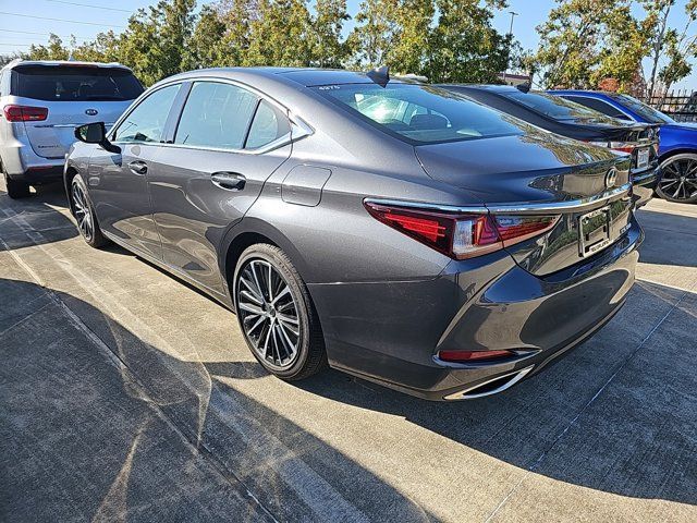 2024 Lexus ES 350