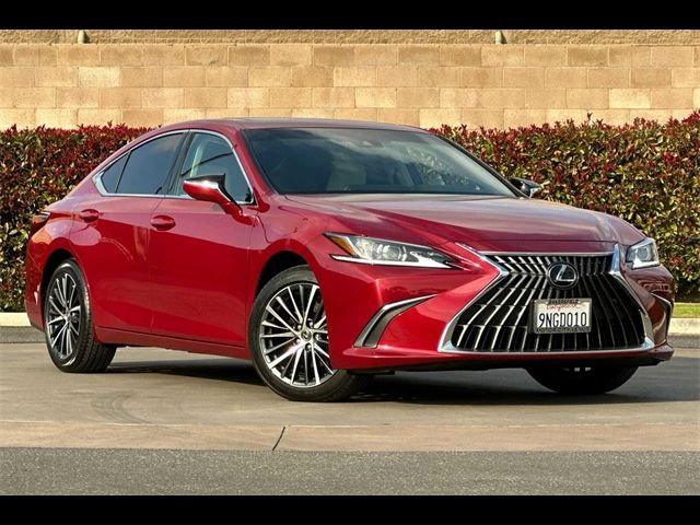 2024 Lexus ES 350