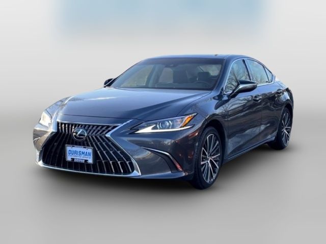 2024 Lexus ES 350