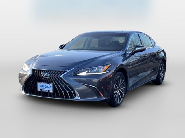 2024 Lexus ES 350