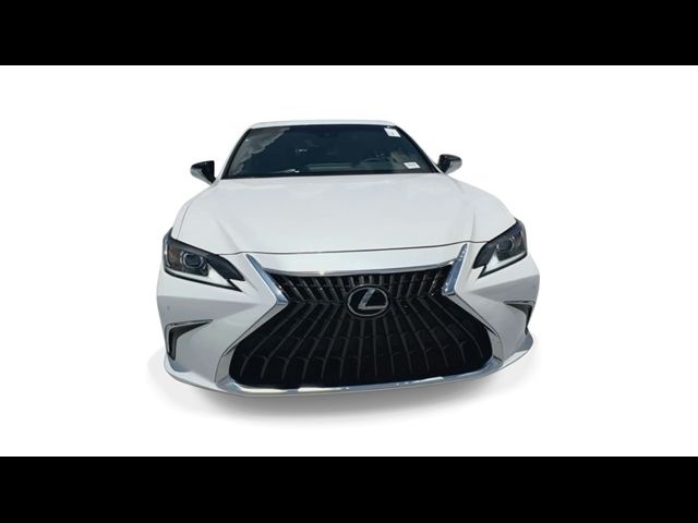 2024 Lexus ES 350