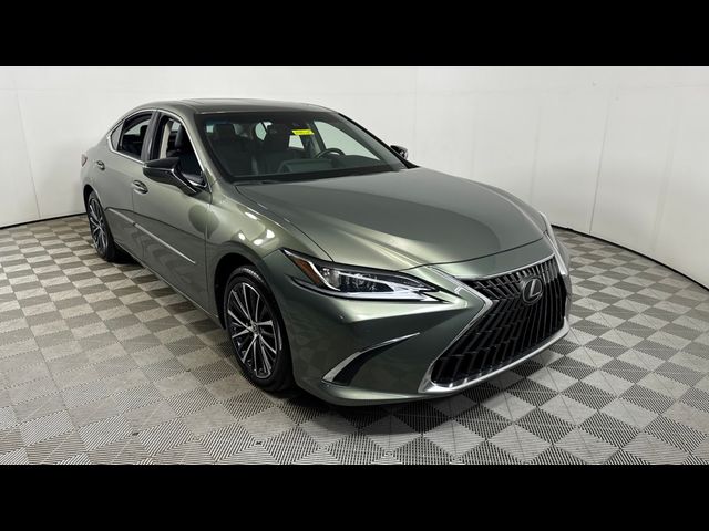 2024 Lexus ES 350