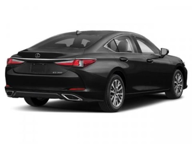 2024 Lexus ES 350