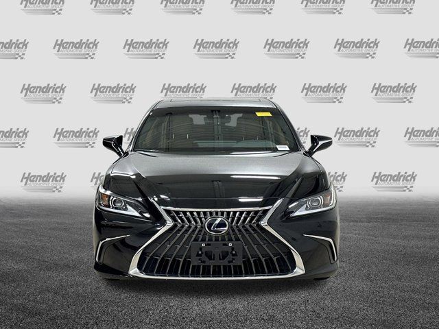 2024 Lexus ES 350