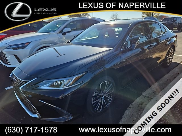 2024 Lexus ES 350