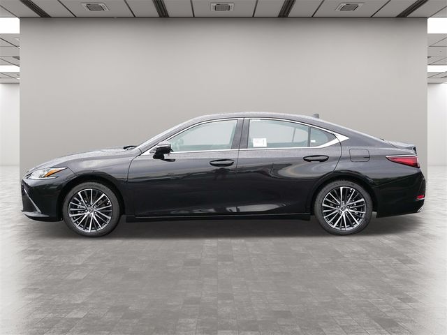 2024 Lexus ES 350