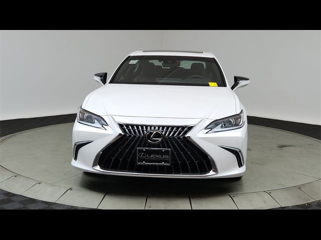 2024 Lexus ES 350