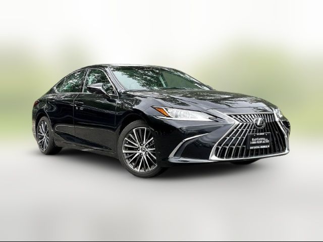 2024 Lexus ES 350