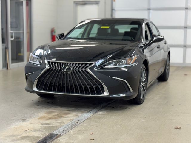 2024 Lexus ES 350