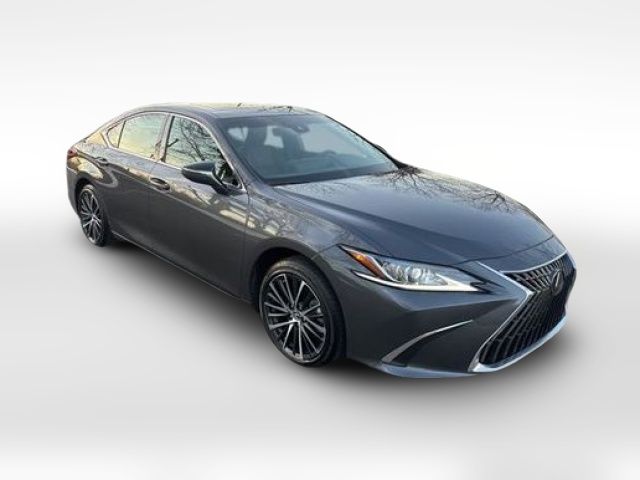 2024 Lexus ES 350