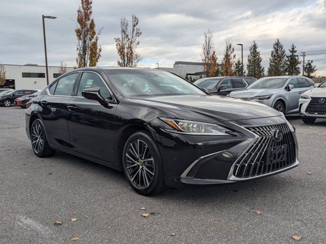 2024 Lexus ES 350