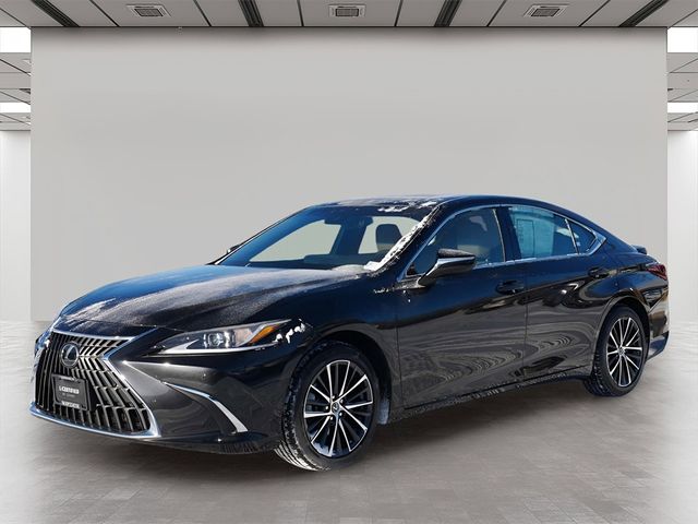 2024 Lexus ES 350