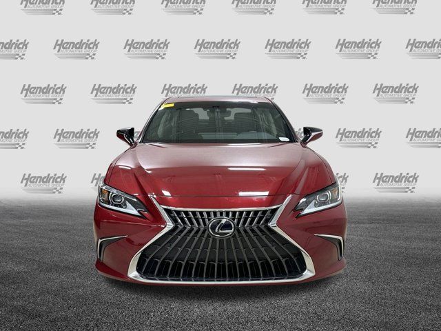 2024 Lexus ES 350