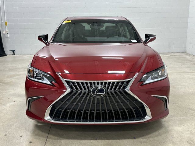 2024 Lexus ES 350