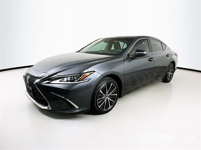 2024 Lexus ES 350