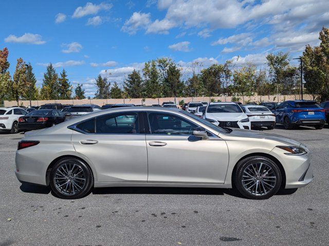 2024 Lexus ES 350