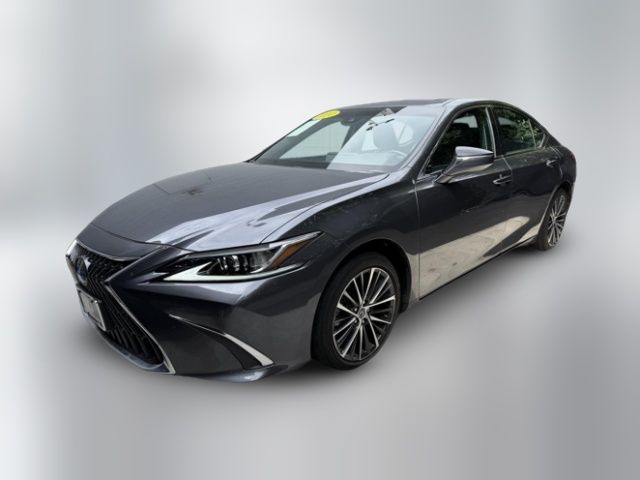 2024 Lexus ES 350