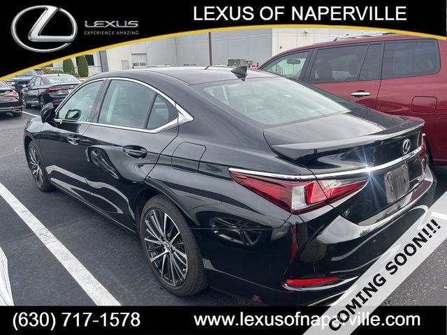 2024 Lexus ES 350