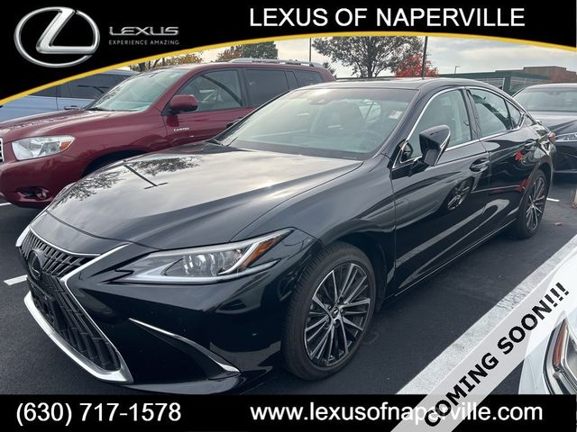 2024 Lexus ES 350