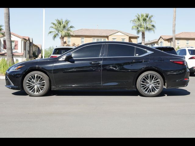 2024 Lexus ES 350