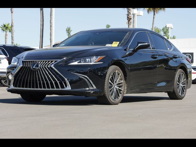 2024 Lexus ES 350