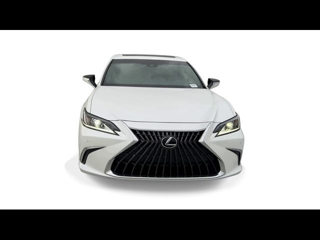 2024 Lexus ES 350